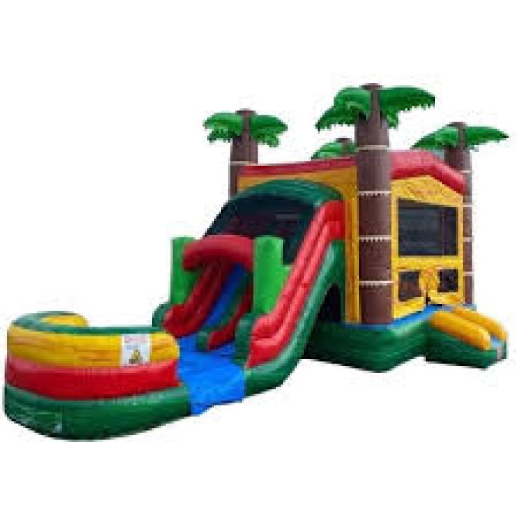 5-in-1 Tropical Combo Dual Lane Wet/Dry